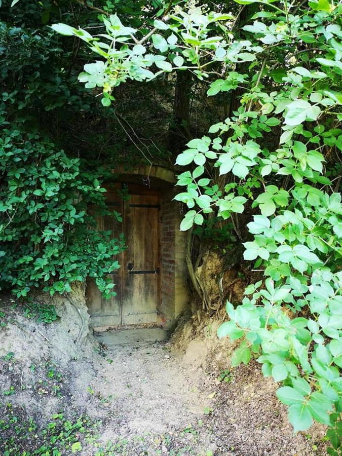 Nyugalomsziget Villa Kotcse Exteriör bild