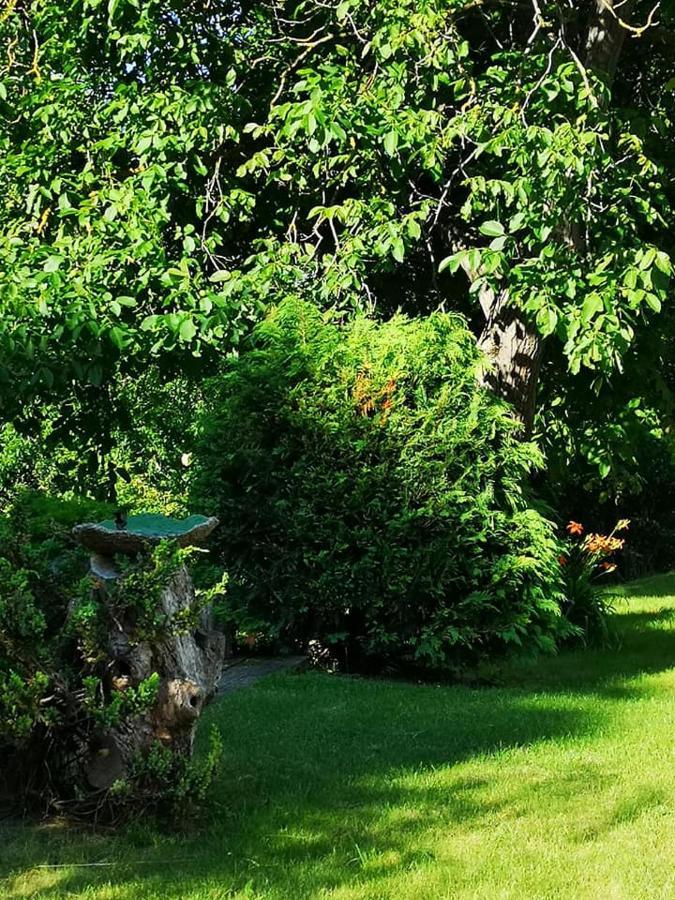 Nyugalomsziget Villa Kotcse Exteriör bild