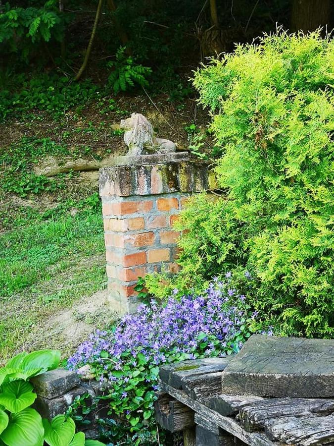 Nyugalomsziget Villa Kotcse Exteriör bild