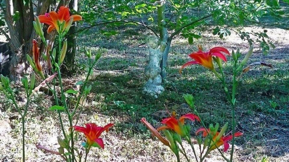 Nyugalomsziget Villa Kotcse Exteriör bild