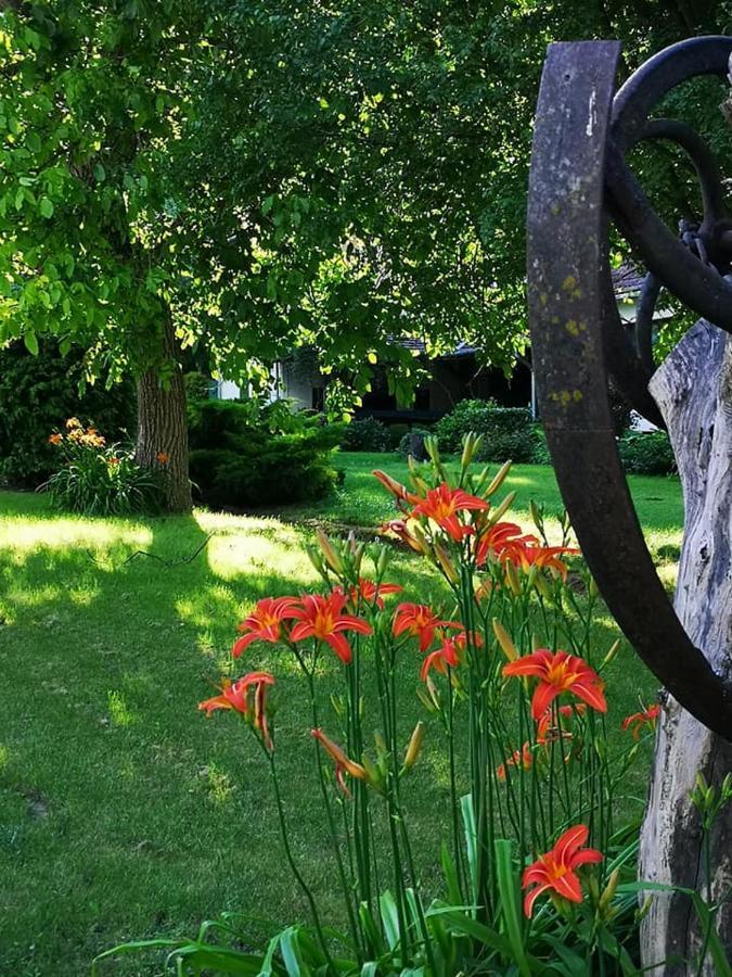 Nyugalomsziget Villa Kotcse Exteriör bild